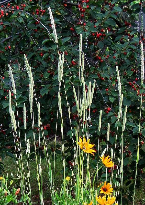 ���� 2012 ����� Natali  ��������� �� PhotoGeek.ru #������ ��� ������� #����� ��������������