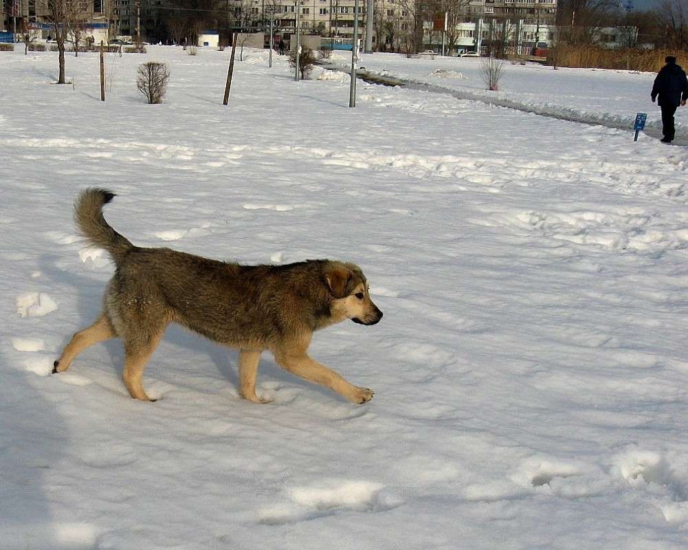 �����.... ����� Natali  ��������� �� PhotoGeek.ru #����� #�������� ��� #������ ��� ������� #��������� ������ #���������