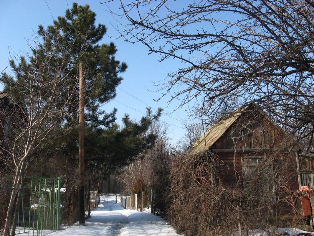 ����� �� ������ ������. ����� Natali  ��������� �� PhotoGeek.ru #������ ��� �������