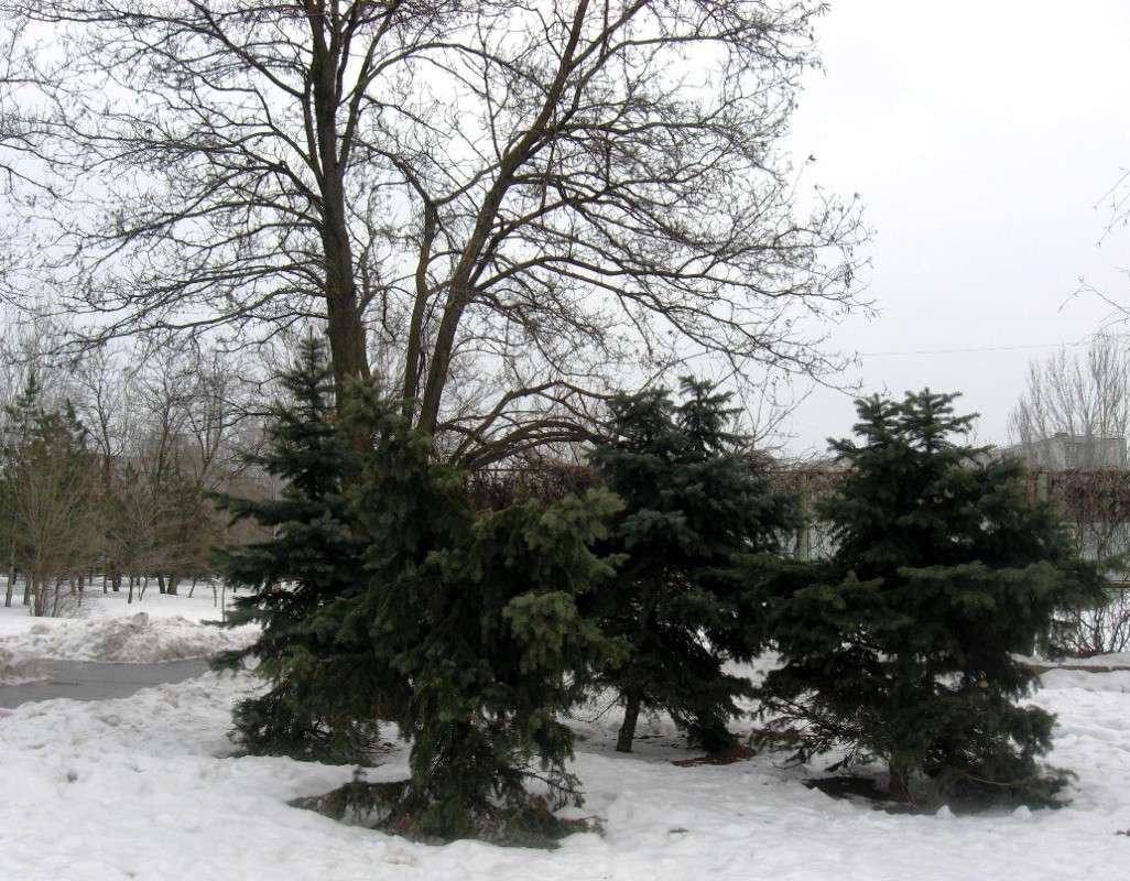 �����, ��������� ����... ����� Natali  ��������� �� PhotoGeek.ru #����� #������ ��� ������� #��������� ������ #����� ��������������