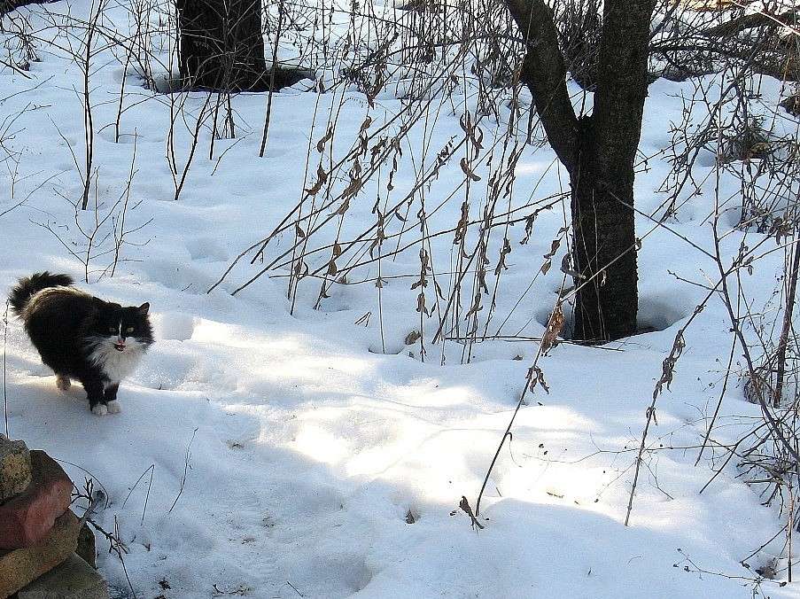 ���� �� ����... ����� Natali  ��������� �� PhotoGeek.ru #�������� ��� #������ ��� ������� #���������