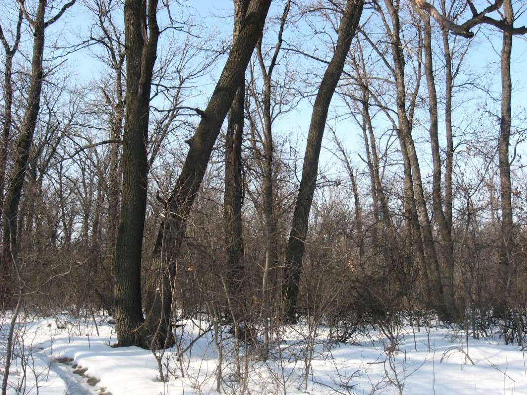 ���� 2014 ����� Natali  ��������� �� PhotoGeek.ru #������ ��� ������� #����� ��������������