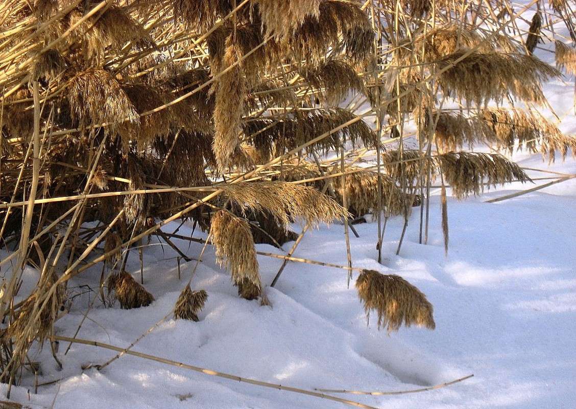 ���������.... ����� Natali  ��������� �� PhotoGeek.ru #������ ��� ������� #����� ��������������