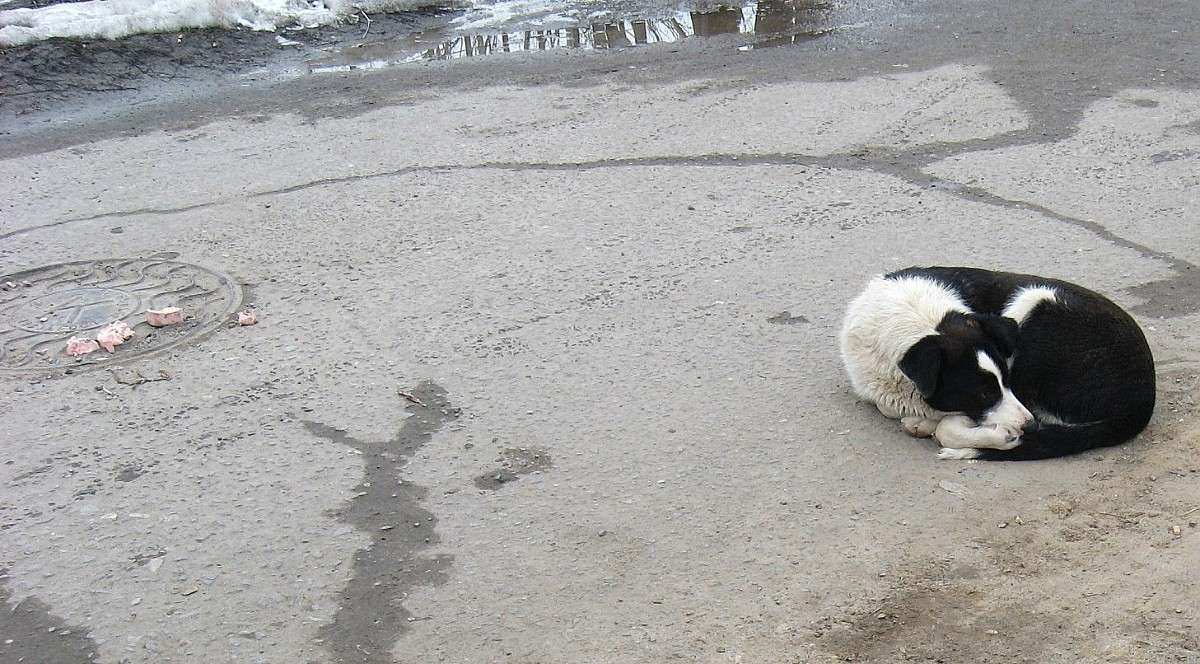 �� �� �������.....( ����� Natali  ��������� �� PhotoGeek.ru #�������� ���