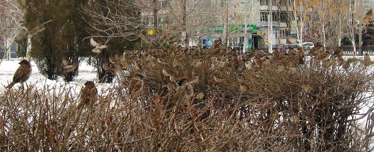 ����������� ��������� ����� Natali  ��������� �� PhotoGeek.ru #����� #�������� ��� #������ ��� ������� #����� ��������