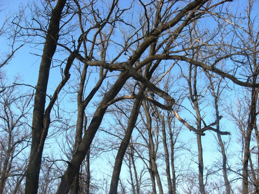 ���� 2014....3 ����� Natali  ��������� �� PhotoGeek.ru #������ ��� ������� #����� ��������������