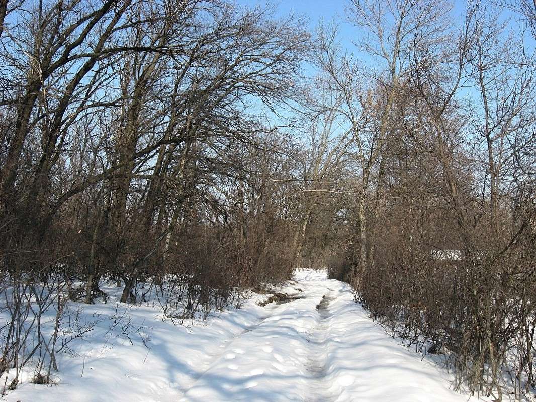 ���� 2014.....2 ����� Natali  ��������� �� PhotoGeek.ru #������ ��� ������� #����� ��������������