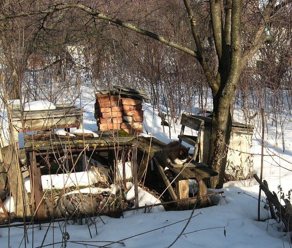 �� ����������� ����. ����� Natali  ��������� �� PhotoGeek.ru #�������� ��� #������ ��� ������� #����� �������������� #����� ��������