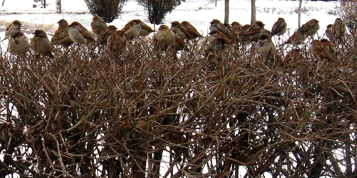 ... ����� Natali  ��������� �� PhotoGeek.ru #�������� ��� #������ ��� �������