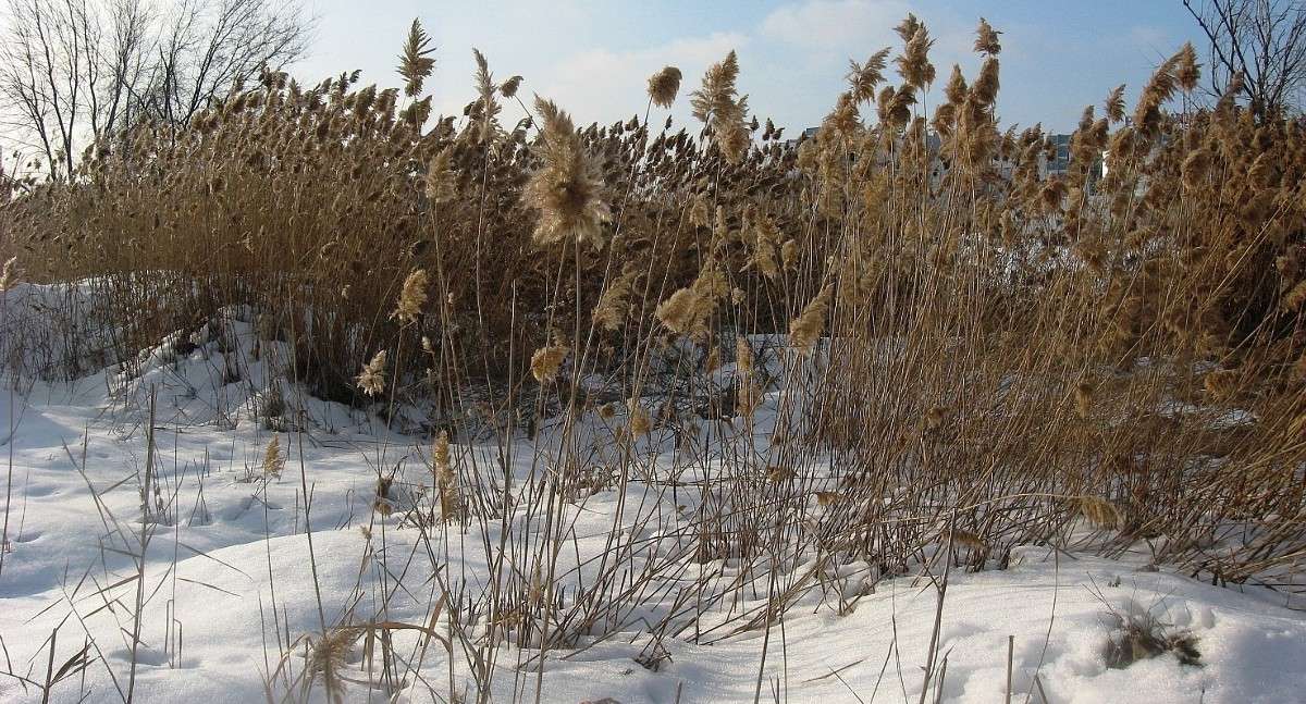 ��, ��� �� � ������� � ��� ��� ?!...) ����� Natali  ��������� �� PhotoGeek.ru #������ ��� ������� #����� ��������������