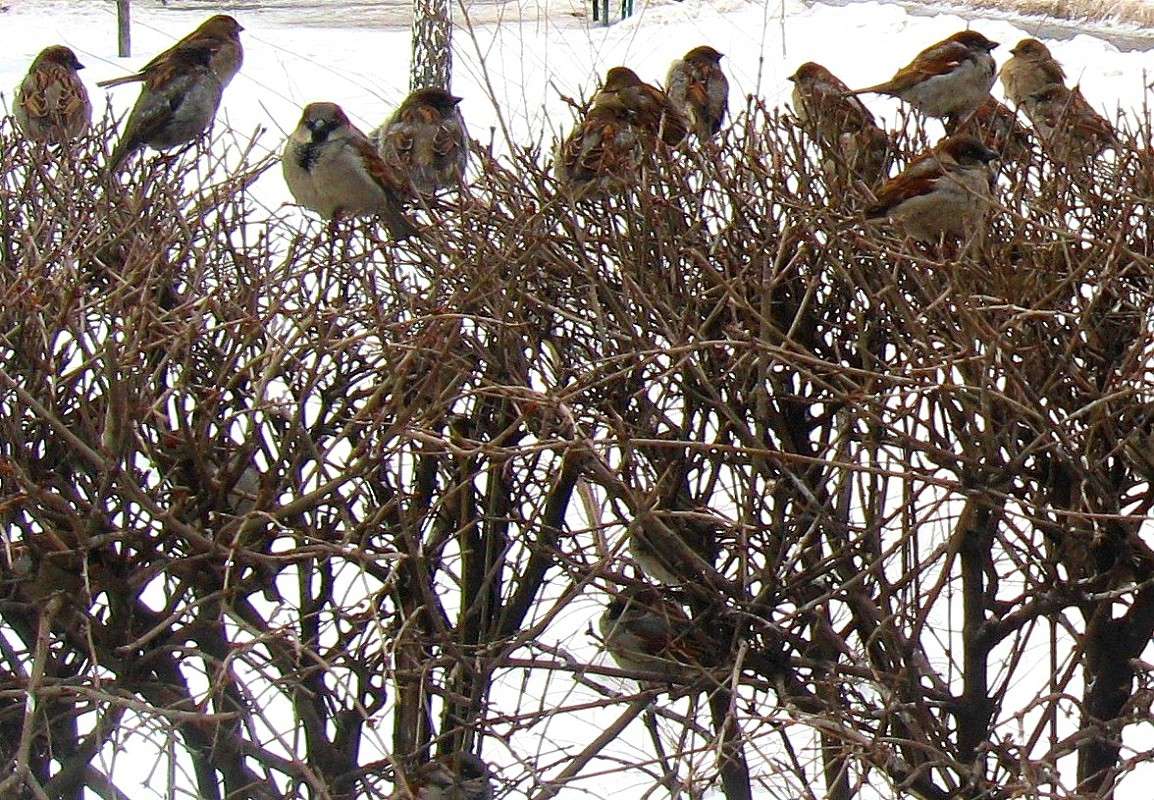 ... ����� Natali  ��������� �� PhotoGeek.ru #����� #�������� ��� #������ ��� �������