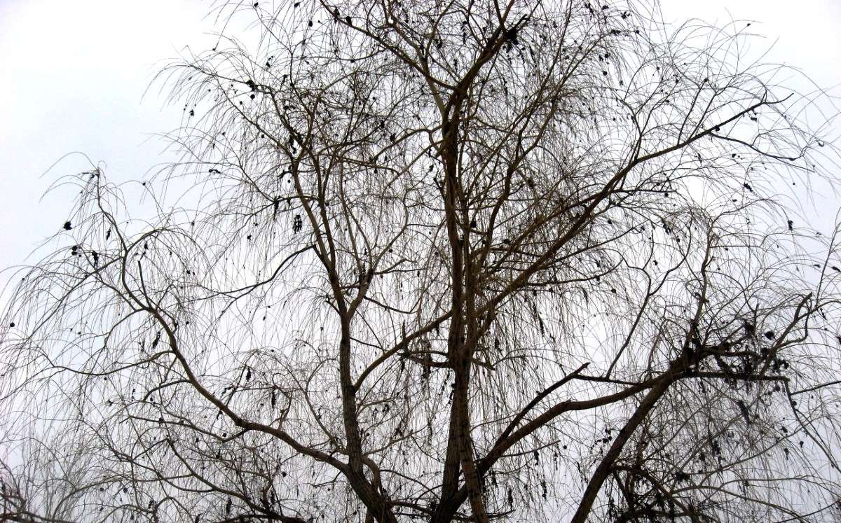 ���� 2014.... 5 ����� Natali  ��������� �� PhotoGeek.ru #������ ��� ������� #����� ��������������