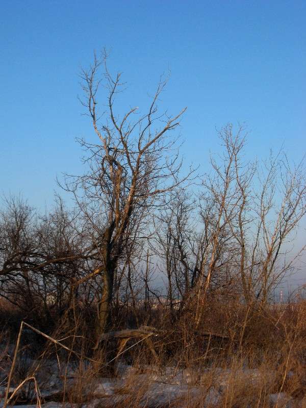 ���� 2014....6 ����� Natali  ��������� �� PhotoGeek.ru #������ ��� ������� #����� ��������������