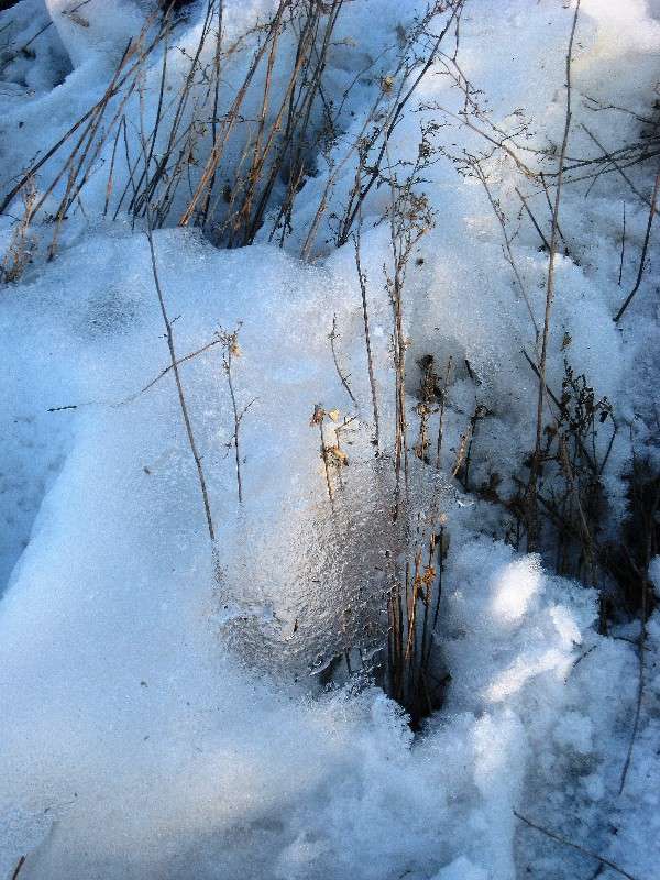 ����..2014..7 ����� Natali  ��������� �� PhotoGeek.ru #������ ��� ������� #����� ��������������