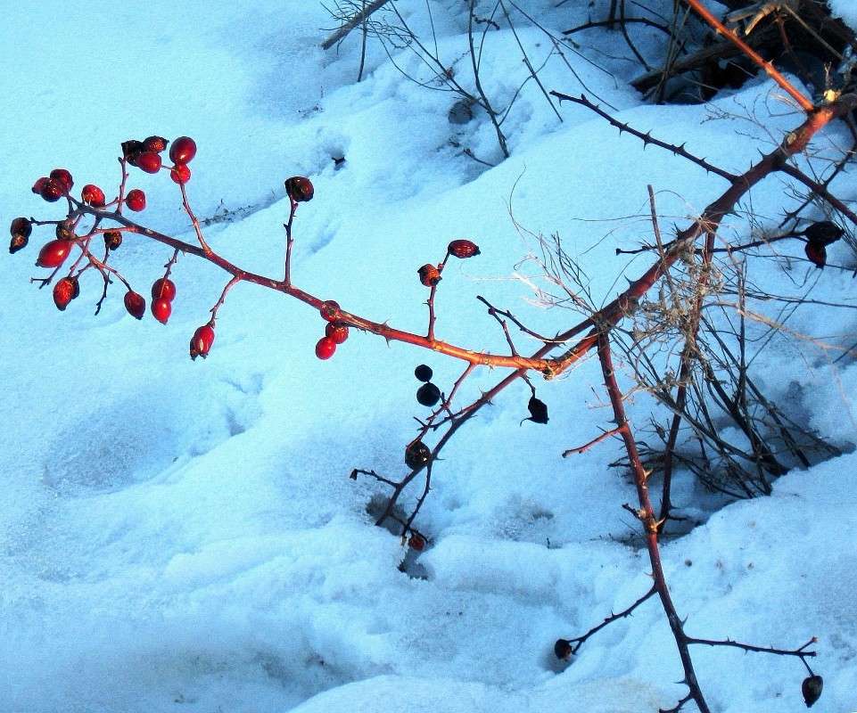 ... ����� Natali  ��������� �� PhotoGeek.ru #������ ��� ������� #����� ��������������