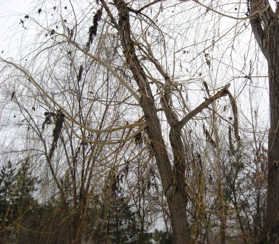 ��� ��������� ����..... ����� Natali  ��������� �� PhotoGeek.ru #������ ��� ������� #����� ��������������