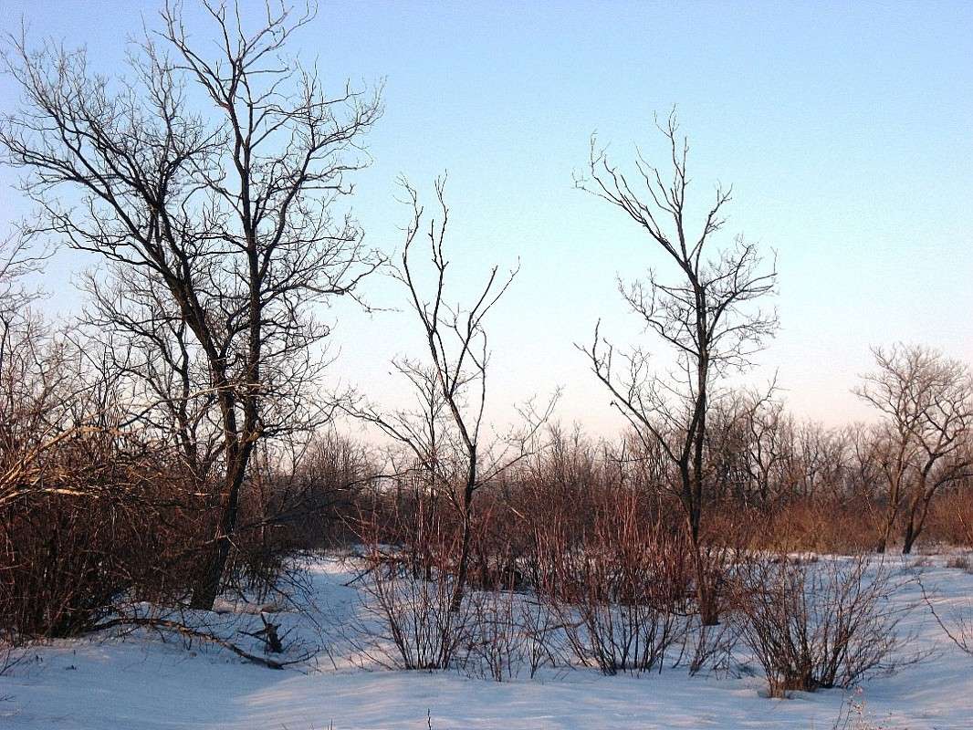 � ��� ����� ���� ����� Natali  ��������� �� PhotoGeek.ru #������ ��� ������� #����� ��������������