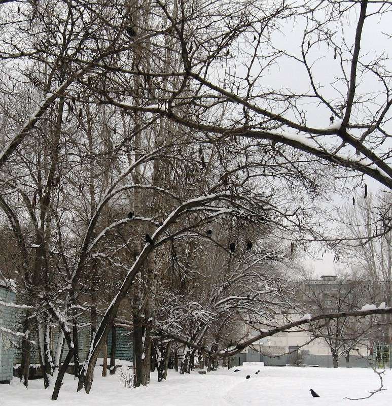 ����� ����. ������. ����� Natali  ��������� �� PhotoGeek.ru #�������� ��� #������ ��� ������� #����� ��������������