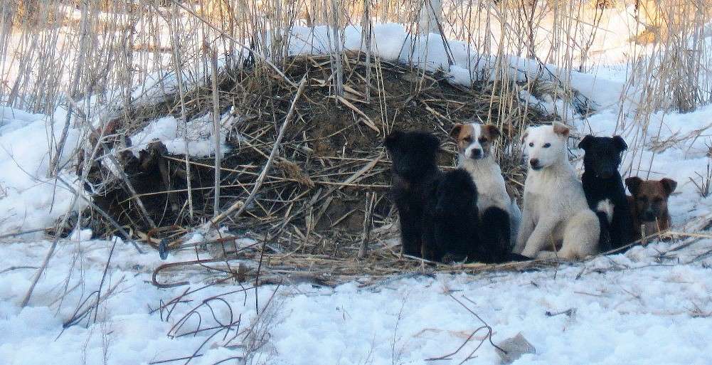 ������������ �����......))) ����� Natali  ��������� �� PhotoGeek.ru #�������� ���