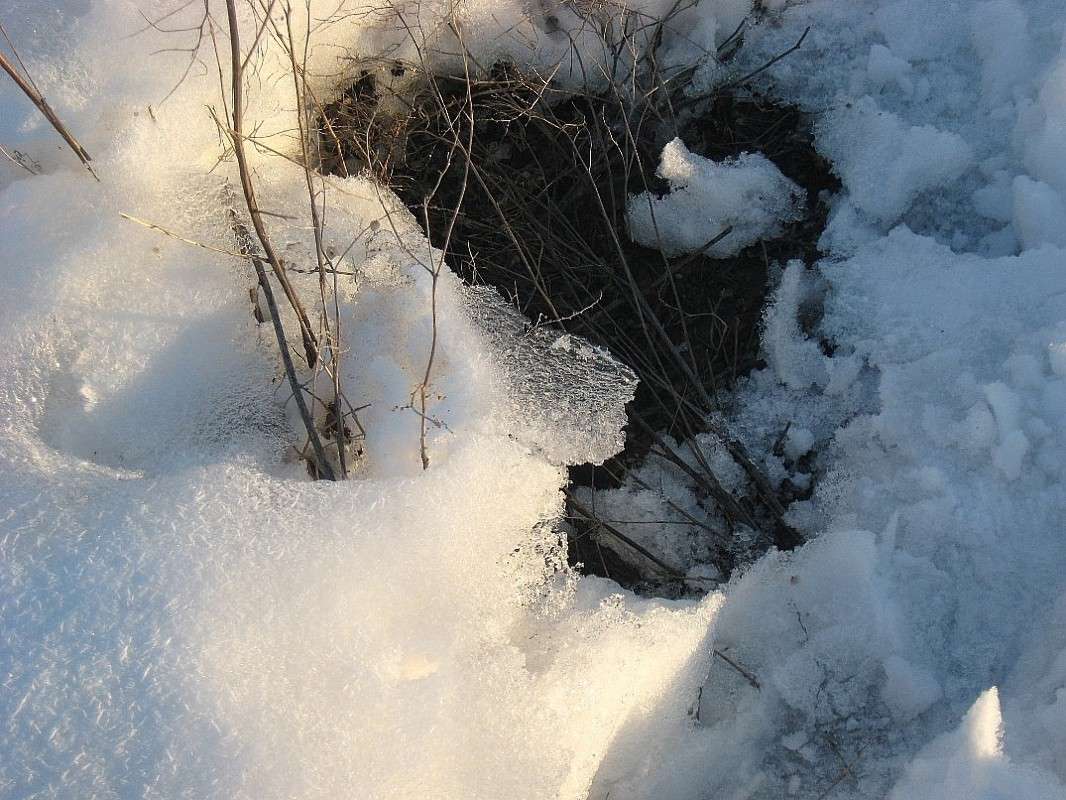 ������.... ))) ����� Natali  ��������� �� PhotoGeek.ru #������ ��� ������� #����� �������������� #����� ��������