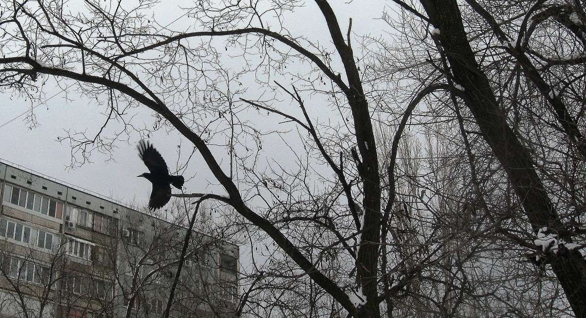 ... ����� Natali  ��������� �� PhotoGeek.ru #�������� ��� #������ ��� ������� #����� ��������������