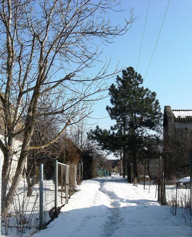 ��  �������� ������... ����� Natali  ��������� �� PhotoGeek.ru #����� #������ ��� ������� #��������� ������ #����� ��������������