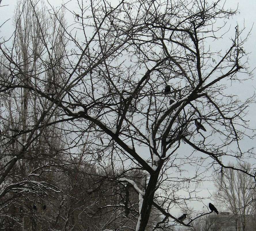 ��� ������� � ���� ����� Natali  ��������� �� PhotoGeek.ru #�������� ��� #������ ��� �������