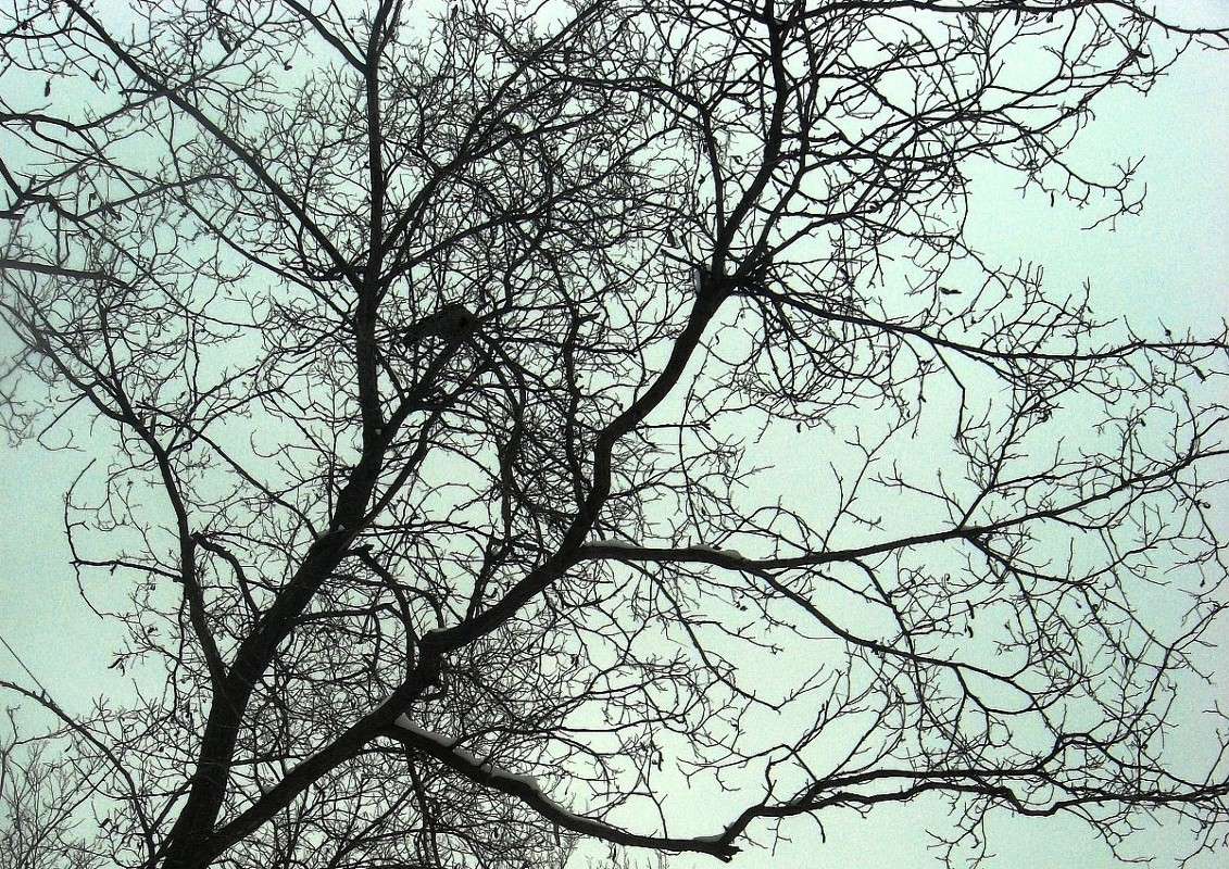 ����� ������ ����� Natali  ��������� �� PhotoGeek.ru #������ ��� �������