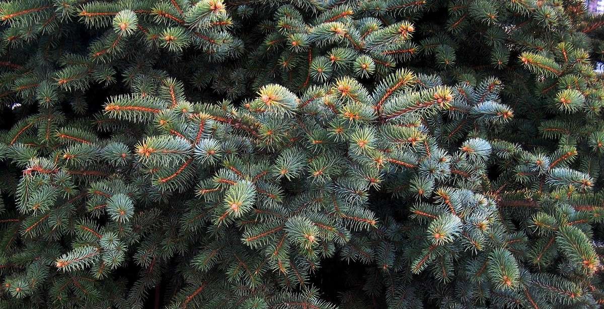 ����� ������ ...3 ����� Natali  ��������� �� PhotoGeek.ru #������ ��� ������� #����� ��������������