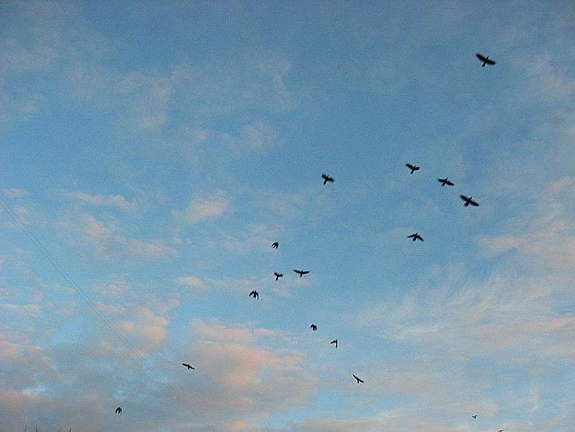 �����. ������ ������� ������.... ����� Natali  ��������� �� PhotoGeek.ru #�������� ���