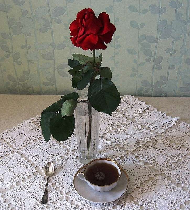 �� ������....) ����� Natali  ��������� �� PhotoGeek.ru #�������� ����������