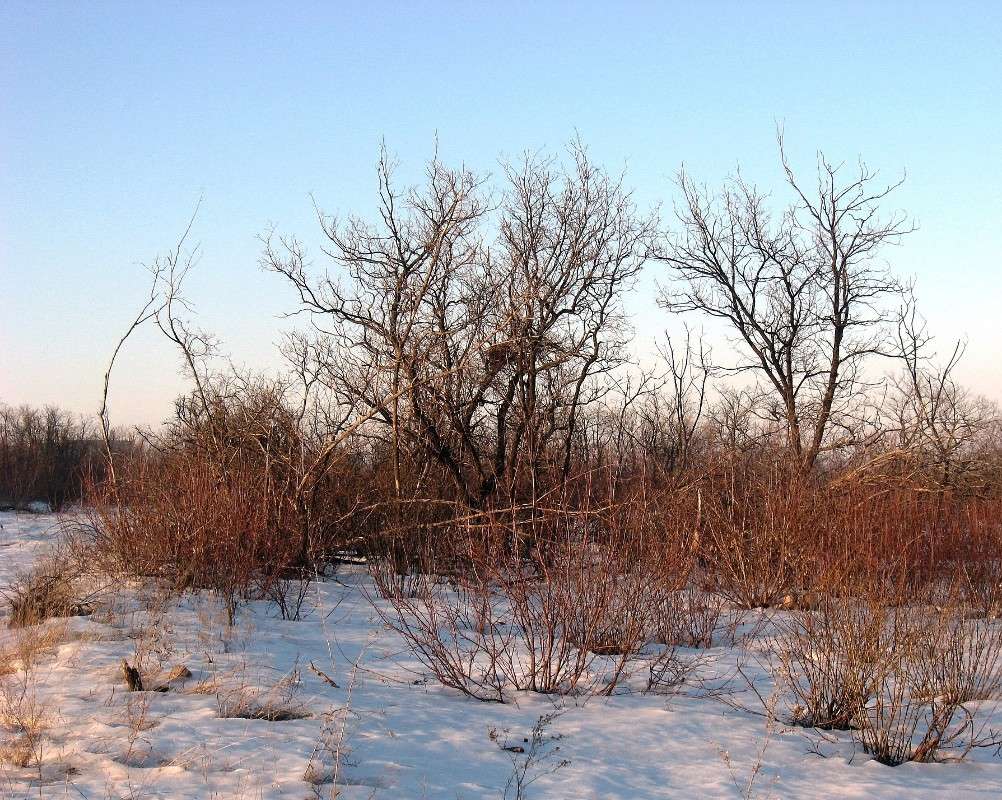 ����� ������... 2 ����� Natali  ��������� �� PhotoGeek.ru #������ ��� ������� #����� ��������������