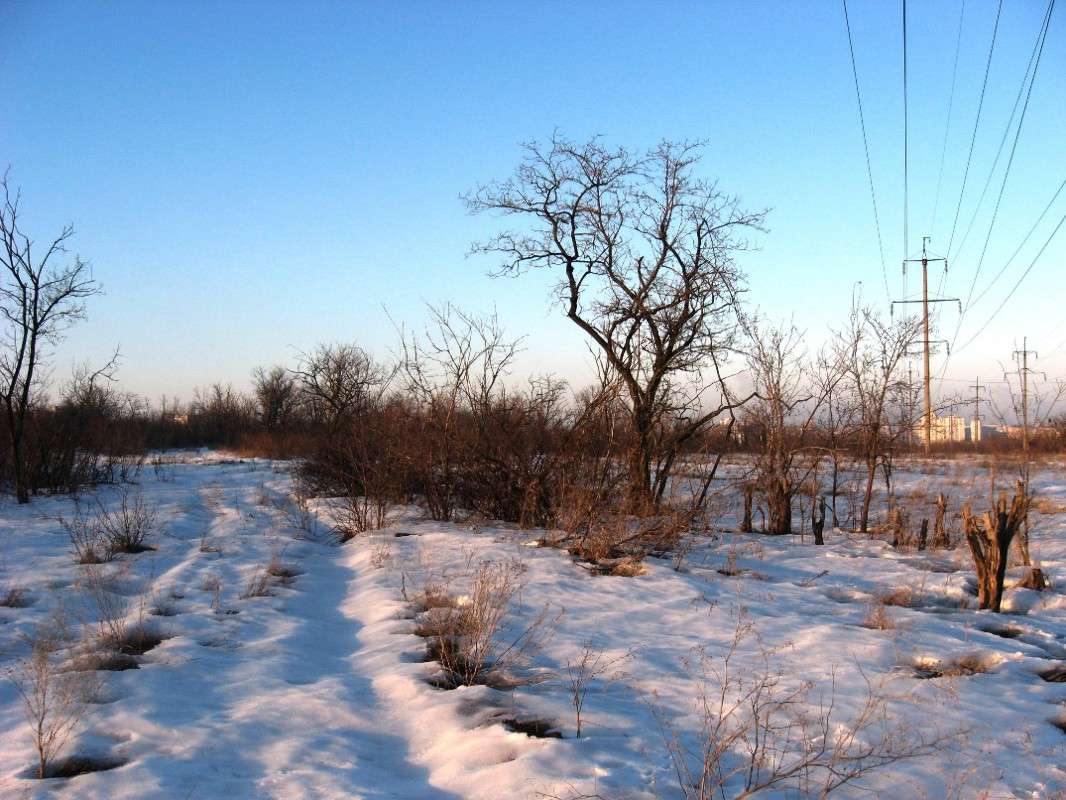 �� �������.... ����� Natali  ��������� �� PhotoGeek.ru #������ ��� �������