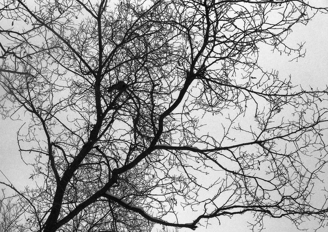 ... ����� Natali  ��������� �� PhotoGeek.ru #������ ��� �������