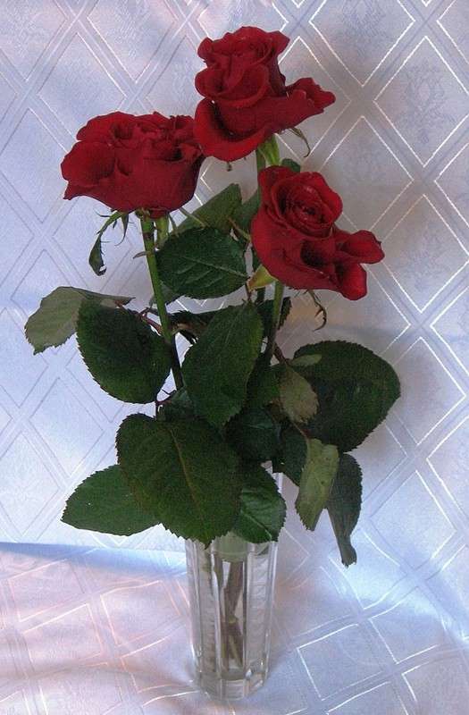 ... ����� Natali  ��������� �� PhotoGeek.ru #����� ��������������