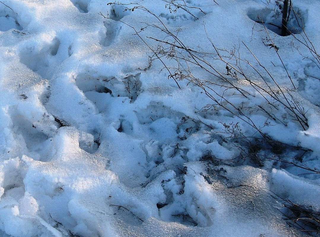 ����, �������-��....! ))) ����� Natali  ��������� �� PhotoGeek.ru #������ ��� ������� #����� �������������� #����� ��������