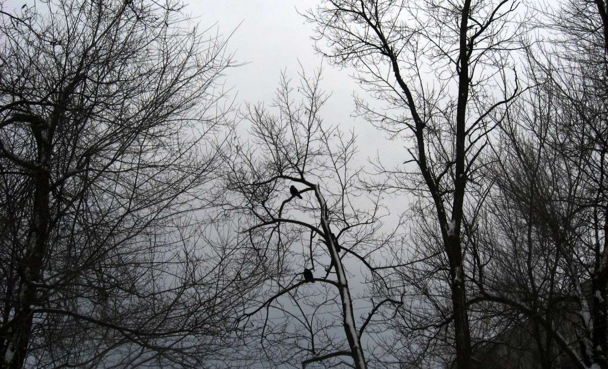 ��������� ���� 2014 ����� Natali  ��������� �� PhotoGeek.ru #������ ��� ������� #����� ��������������