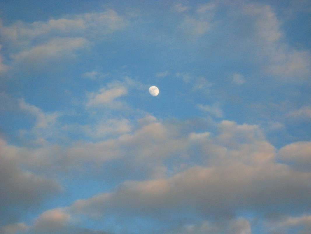 ... ����� Natali  ��������� �� PhotoGeek.ru #������ ��� ������� #����� ��������