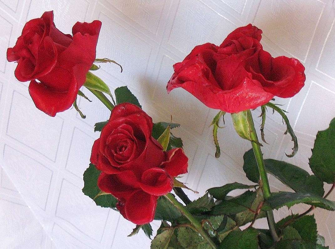 ... ����� Natali  ��������� �� PhotoGeek.ru #�������� ���������� #����� ��������������