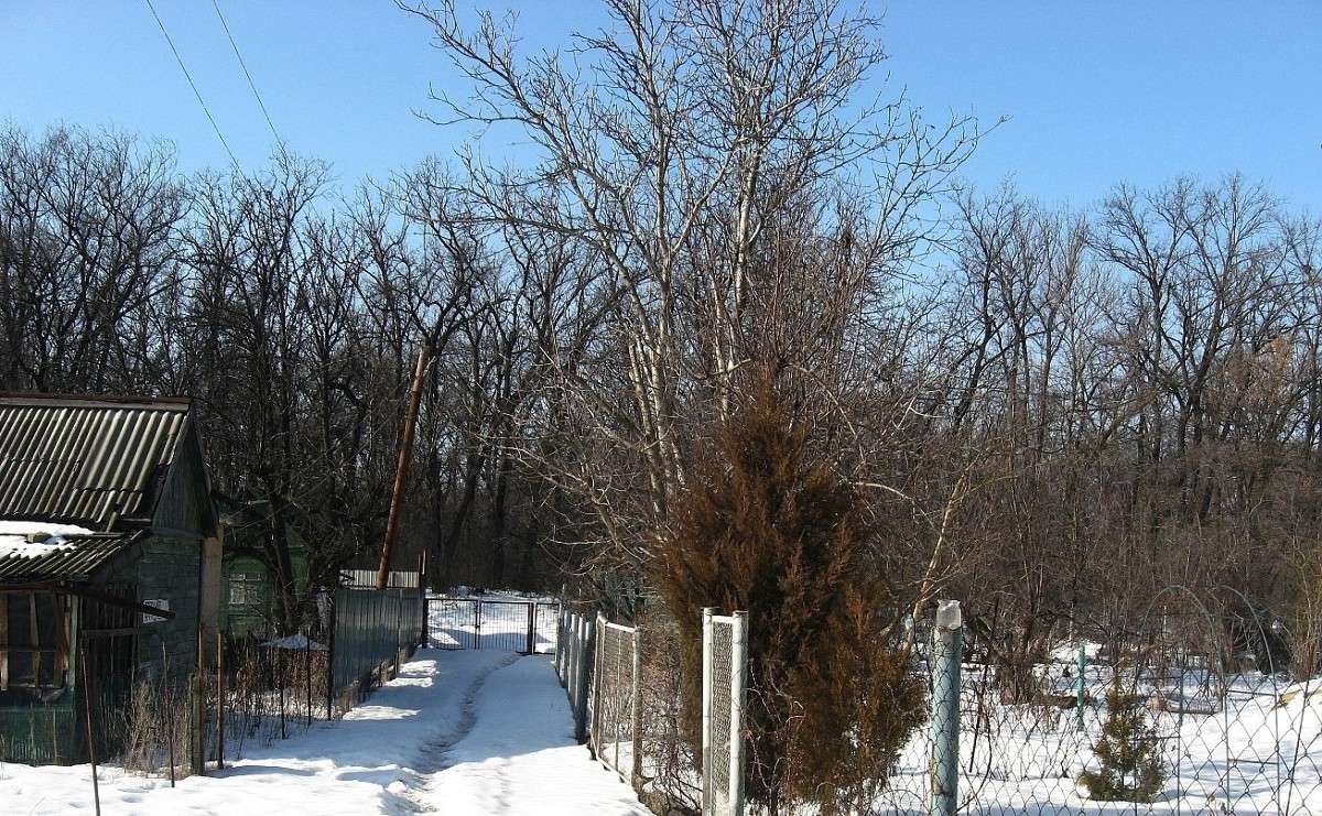 ����������.... ����� Natali  ��������� �� PhotoGeek.ru #����� #������ ��� ������� #��������� ������ #����� ��������������