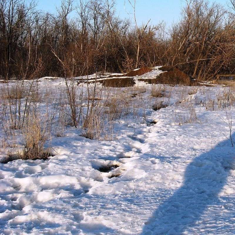 �����... ����� Natali  ��������� �� PhotoGeek.ru #������ ��� ������� #����� ��������������