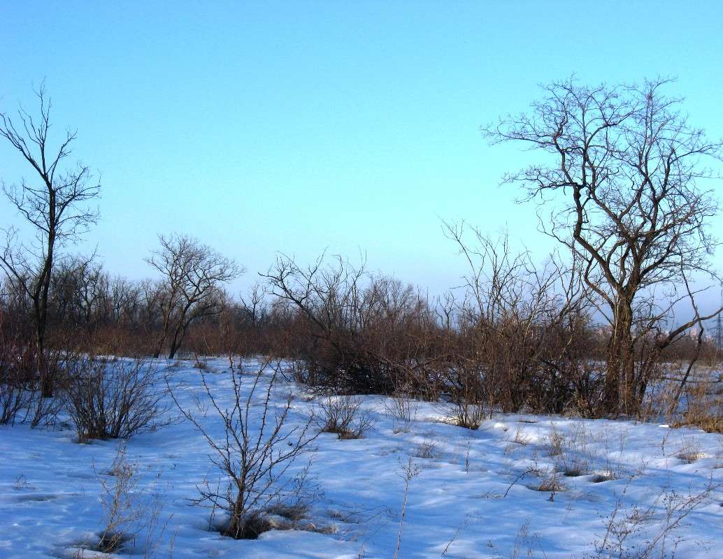 �����. �� ������ ����� ����� Natali  ��������� �� PhotoGeek.ru #������ ��� �������