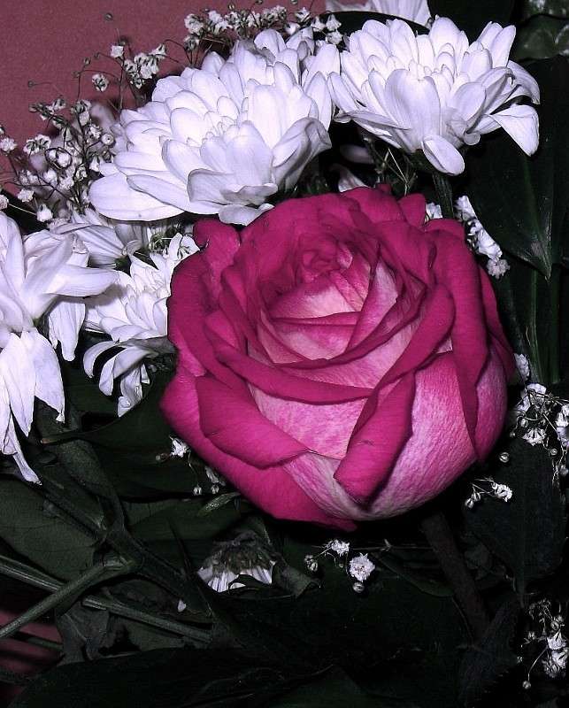 ... ����� Natali  ��������� �� PhotoGeek.ru #����� ��������������