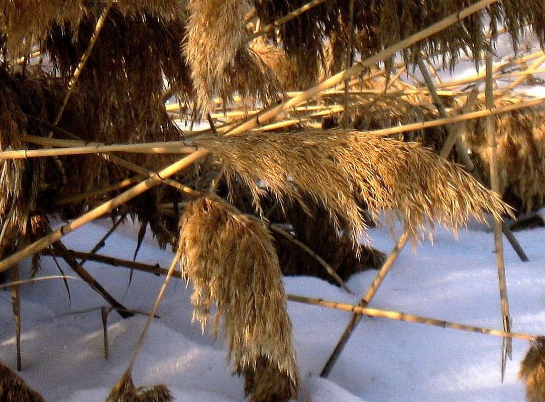 �� ������ �������....))) ����� Natali  ��������� �� PhotoGeek.ru #������ ��� ������� #����� ��������������