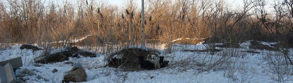 ����� ����� ������� ����� ��� ����� Natali  ��������� �� PhotoGeek.ru #�������� ��� #������ ��� ������� #����� ��������