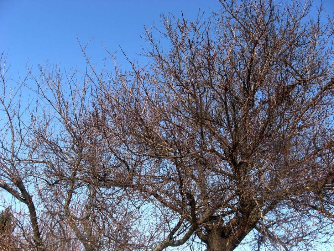 �� ��� �����... ����� Natali  ��������� �� PhotoGeek.ru #������ ��� ������� #����� ��������