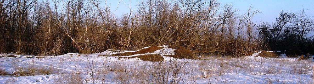 ����� �������� ����� ���... ����� Natali  ��������� �� PhotoGeek.ru #������ ��� ������� #����� ��������������