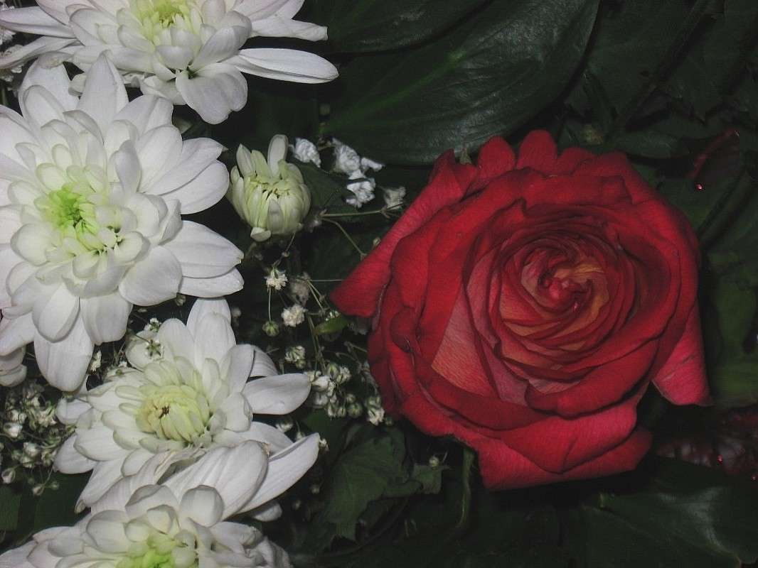 ... ����� Natali  ��������� �� PhotoGeek.ru #����� ��������������