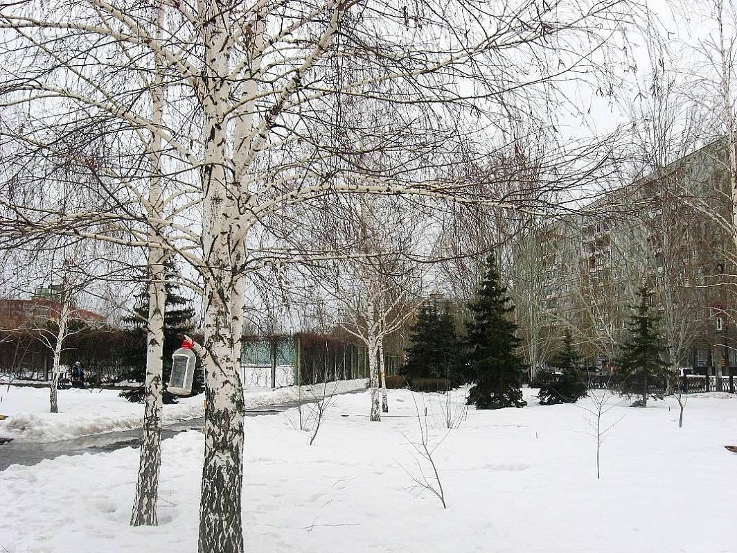 �������� ������� ����� Natali  ��������� �� PhotoGeek.ru #������ ��� ������� #����� ��������������