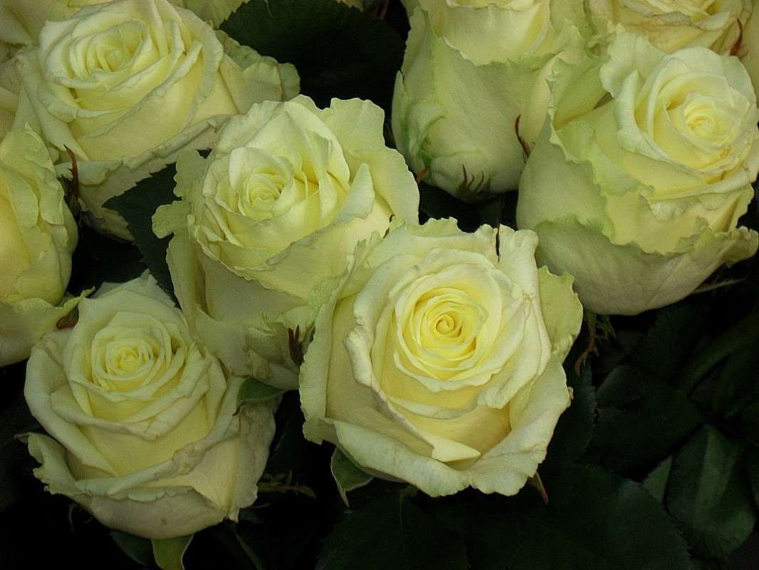 ... ����� Natali  ��������� �� PhotoGeek.ru #����� ��������������